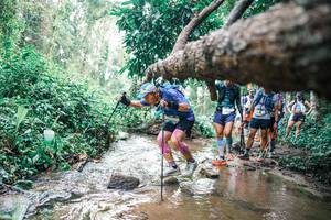 BIB: 
                            <button type="button" onclick="openModal(25373228)" class="btn btn-primary btn-sm float-right btn-popup" data-toggle="modal" data-target=".modal-high-quality">
                        <i class="fas fa-shopping-cart"></i> Add to Cart
                    </button>
                                            <button type="button" onclick="isThisMe(25373228, true)" class="btn btn-success btn-sm float-right btn-popup btn-isme hidden" data-toggle="tooltip" data-placement="bottom" title="นี่คือรูปของคุณใช่ไหม คลิกที่นี่เพื่อเอาเข้าอัลบั้ม">
                        <i class="fas fa-plus"></i> Add to album
                    </button>
                    <button type="button" onclick="isThisMe(25373228, false)" class="btn btn-warning btn-sm float-right btn-popup btn-isnotme hidden">
                        <i class="fas fa-ban"></i> Remove from album
                    </button>